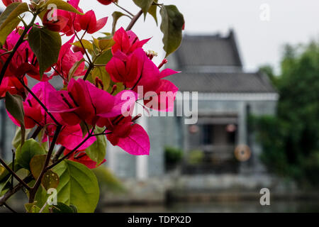 Guangzhou Panyu Universität Stadt Lingnan Impressionen Garten Lingnan Architektur, Wohn- Residence Stockfoto