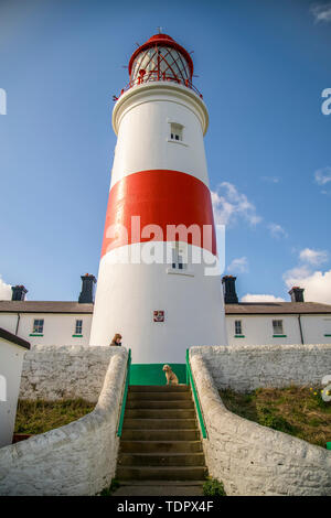 Eine Frau mit ihrem Hund an Souter Leuchtturm, Marsden, South Shields, Tyne und Wear, England Stockfoto