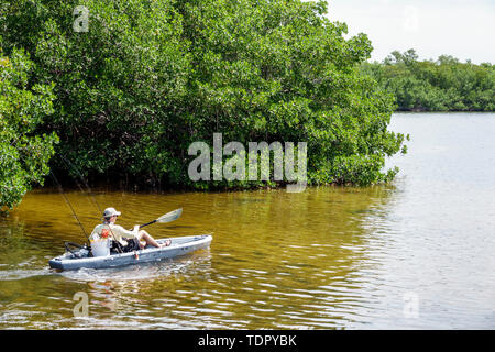 Sanibel Island Florida, J.N. Ding Darling National Wildlife Refuge, Umweltschutzausbildung, Wildlife Drive Trail, Kajak, Fischer, Rudern, adu Stockfoto