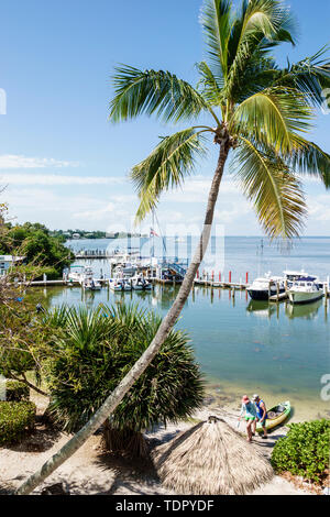 Captiva Island Florida,'Tween Waters Inn Island Resort & Spa, Hotelhotels Unterkunft Inn Motel Motels, Marina, Docks, Boote, am Wasser, Palmen, Kiefer Stockfoto