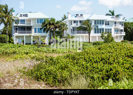 Sanibel Island Florida, East Gulf Drive, Häuser am Strand, große Einfamilienhäuser, mehrstöckige, Düne, Gräser, Besucher reisen auf Reisen Stockfoto