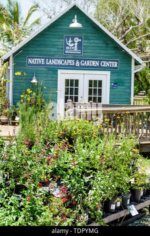 Sanibel Island Florida, Bailey Homestead Preserve, Sanibel-Captiva Conservation Foundation SCCF, Native Landscapes & Garden Center Center Center, Pflanzenverkauf, FL19 Stockfoto