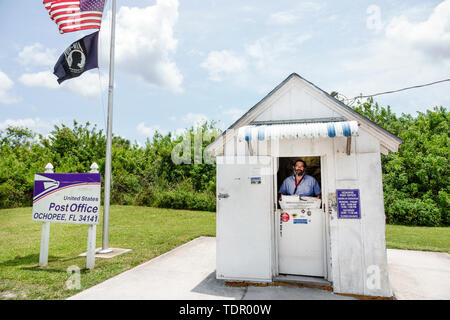 Florida, Ochopee, Everglades, Tamiami Trail, kleinstes Postamt, Holzrahmenschuppen, Postangestellter, Arbeiter, Männer männlich, Dienstfenster, Flagge, FL190512074 Stockfoto