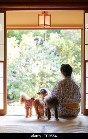 Japanischer Mann und Hunde im traditionellen Hotel Stockfoto