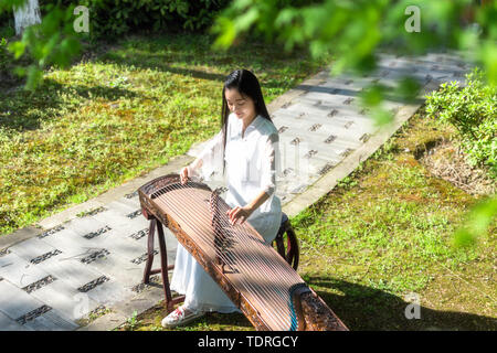 Spielen Guzheng Stockfoto