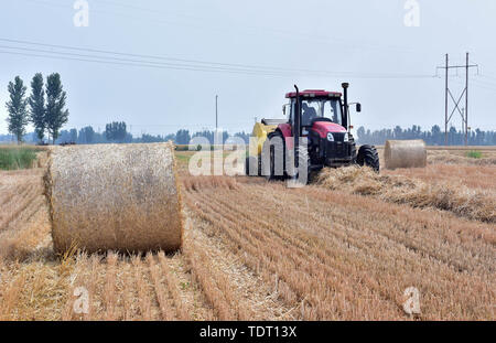 Hebei, Provinz Hebei, China. Juni, 2019 18. Hebei, China - 18. Juni 2016: (redaktionelle Verwendung. CHINA) im Dorf der Stadt xinle chenganpu, Shijiazhuang, Provinz Hebei, Landwirte zu wachsen professionelle Genossenschaften werden mit Maschinen Weizen Stroh zu bündeln. Weizen Ernte, shijiazhuang Landwirten rund um den geschäftigen Strohballen Recycling. Die recycelten Stroh kann in landwirtschaftlichen Anbau genutzt werden, Biomasse und andere Felder, wirksame Verbesserung der umfassenden Auslastung von Stroh, und bringt zusätzliche Einnahmen, die den Landwirten Kredite: SIPA Asien/ZUMA Draht/Alamy leben Nachrichten Stockfoto