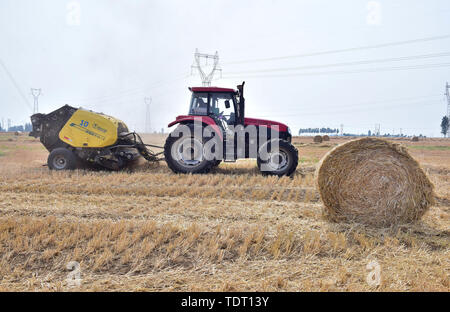 Hebei, Provinz Hebei, China. Juni, 2019 18. Hebei, China - 18. Juni 2016: (redaktionelle Verwendung. CHINA) im Dorf der Stadt xinle chenganpu, Shijiazhuang, Provinz Hebei, Landwirte zu wachsen professionelle Genossenschaften werden mit Maschinen Weizen Stroh zu bündeln. Weizen Ernte, shijiazhuang Landwirten rund um den geschäftigen Strohballen Recycling. Die recycelten Stroh kann in landwirtschaftlichen Anbau genutzt werden, Biomasse und andere Felder, wirksame Verbesserung der umfassenden Auslastung von Stroh, und bringt zusätzliche Einnahmen, die den Landwirten Kredite: SIPA Asien/ZUMA Draht/Alamy leben Nachrichten Stockfoto