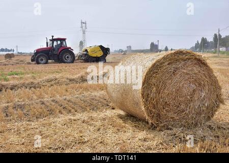 Hebei, Provinz Hebei, China. Juni, 2019 18. Hebei, China - 18. Juni 2016: (redaktionelle Verwendung. CHINA) im Dorf der Stadt xinle chenganpu, Shijiazhuang, Provinz Hebei, Landwirte zu wachsen professionelle Genossenschaften werden mit Maschinen Weizen Stroh zu bündeln. Weizen Ernte, shijiazhuang Landwirten rund um den geschäftigen Strohballen Recycling. Die recycelten Stroh kann in landwirtschaftlichen Anbau genutzt werden, Biomasse und andere Felder, wirksame Verbesserung der umfassenden Auslastung von Stroh, und bringt zusätzliche Einnahmen, die den Landwirten Kredite: SIPA Asien/ZUMA Draht/Alamy leben Nachrichten Stockfoto