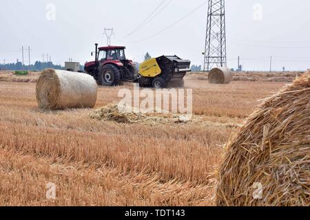 Hebei, Provinz Hebei, China. Juni, 2019 18. Hebei, China - 18. Juni 2016: (redaktionelle Verwendung. CHINA) im Dorf der Stadt xinle chenganpu, Shijiazhuang, Provinz Hebei, Landwirte zu wachsen professionelle Genossenschaften werden mit Maschinen Weizen Stroh zu bündeln. Weizen Ernte, shijiazhuang Landwirten rund um den geschäftigen Strohballen Recycling. Die recycelten Stroh kann in landwirtschaftlichen Anbau genutzt werden, Biomasse und andere Felder, wirksame Verbesserung der umfassenden Auslastung von Stroh, und bringt zusätzliche Einnahmen, die den Landwirten Kredite: SIPA Asien/ZUMA Draht/Alamy leben Nachrichten Stockfoto