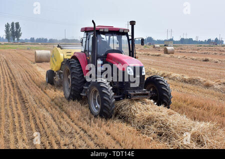 Hebei, Provinz Hebei, China. Juni, 2019 18. Hebei, China - 18. Juni 2016: (redaktionelle Verwendung. CHINA) im Dorf der Stadt xinle chenganpu, Shijiazhuang, Provinz Hebei, Landwirte zu wachsen professionelle Genossenschaften werden mit Maschinen Weizen Stroh zu bündeln. Weizen Ernte, shijiazhuang Landwirten rund um den geschäftigen Strohballen Recycling. Die recycelten Stroh kann in landwirtschaftlichen Anbau genutzt werden, Biomasse und andere Felder, wirksame Verbesserung der umfassenden Auslastung von Stroh, und bringt zusätzliche Einnahmen, die den Landwirten Kredite: SIPA Asien/ZUMA Draht/Alamy leben Nachrichten Stockfoto