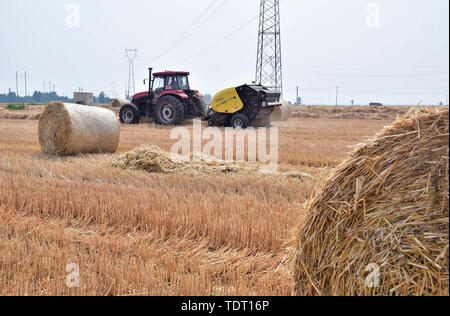 Hebei, Provinz Hebei, China. Juni, 2019 18. Hebei, China - 18. Juni 2016: (redaktionelle Verwendung. CHINA) im Dorf der Stadt xinle chenganpu, Shijiazhuang, Provinz Hebei, Landwirte zu wachsen professionelle Genossenschaften werden mit Maschinen Weizen Stroh zu bündeln. Weizen Ernte, shijiazhuang Landwirten rund um den geschäftigen Strohballen Recycling. Die recycelten Stroh kann in landwirtschaftlichen Anbau genutzt werden, Biomasse und andere Felder, wirksame Verbesserung der umfassenden Auslastung von Stroh, und bringt zusätzliche Einnahmen, die den Landwirten Kredite: SIPA Asien/ZUMA Draht/Alamy leben Nachrichten Stockfoto