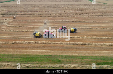 Hebei, Provinz Hebei, China. Juni, 2019 18. Hebei, China - 18. Juni 2016: (redaktionelle Verwendung. CHINA) im Dorf der Stadt xinle chenganpu, Shijiazhuang, Provinz Hebei, Landwirte zu wachsen professionelle Genossenschaften werden mit Maschinen Weizen Stroh zu bündeln. Weizen Ernte, shijiazhuang Landwirten rund um den geschäftigen Strohballen Recycling. Die recycelten Stroh kann in landwirtschaftlichen Anbau genutzt werden, Biomasse und andere Felder, wirksame Verbesserung der umfassenden Auslastung von Stroh, und bringt zusätzliche Einnahmen, die den Landwirten Kredite: SIPA Asien/ZUMA Draht/Alamy leben Nachrichten Stockfoto