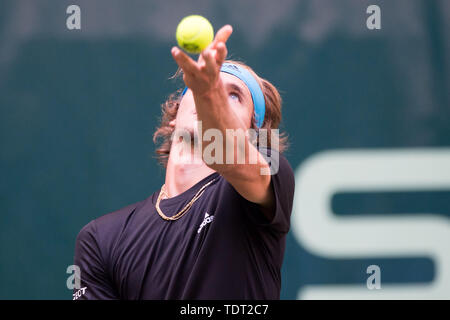 Alexander Zverev (GER) mit Kugel, Single Action mit Kugel, Aktion, Brustbild, dienen, Tennis, 27 NOVENTI Open 2019 ATP World Tour am 17.06.2019 in Halle (Westf.)/Deutschland. | Verwendung weltweit Stockfoto