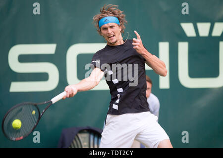 Alexander Zverev (GER) mit Kugel, Single Action mit Kugel, Aktion, halb Bild, halb Abbildung, Tennis, 27 NOVENTI Open 2019 ATP World Tour am 17.06.2019 in Halle (Westf.)/Deutschland. | Verwendung weltweit Stockfoto