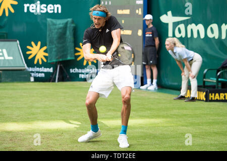 Alexander Zverev (GER) mit Kugel, Single Action mit Kugel, Aktion, vollständige Abbildung, Tennis, 27 NOVENTI Open 2019 ATP World Tour am 17.06.2019 in Halle (Westf.)/Deutschland. | Verwendung weltweit Stockfoto