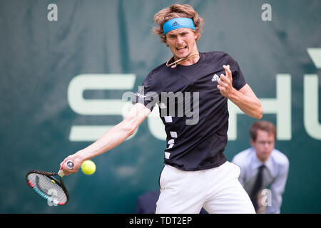 Alexander Zverev (GER) mit Kugel, Single Action mit Kugel, Aktion, halb Bild, halb Abbildung, Tennis, 27 NOVENTI Open 2019 ATP World Tour am 17.06.2019 in Halle (Westf.)/Deutschland. | Verwendung weltweit Stockfoto