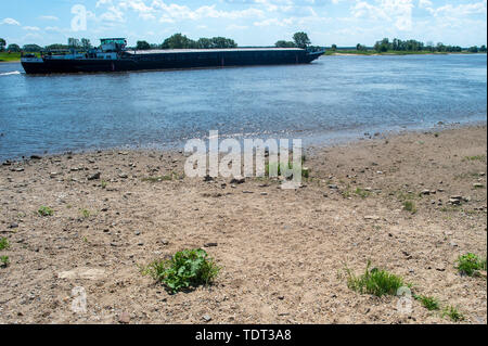 Schartau, Deutschland. Juni, 2019 18. Ein binnenschiff reist stromaufwärts entlang der Elbe. Der Pegel der Elbe an der Brücke über den Fluss Manometer in der Landeshauptstadt Magdeburg war 92 Zentimeter in den frühen Morgenstunden. Credit: Klaus-Dietmar Gabbert/dpa-Zentralbild/ZB/dpa/Alamy leben Nachrichten Stockfoto