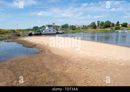 Schartau, Deutschland. Juni, 2019 18. Die Fähre Rogätz Mauren auf der Elbe Seite im Mansfelder Land, im Vordergrund eine Sandbank. Der Pegel der Elbe an der Brücke über den Fluss Manometer in der Landeshauptstadt Magdeburg war 92 Zentimeter in den frühen Morgenstunden. Credit: Klaus-Dietmar Gabbert/dpa-Zentralbild/ZB/dpa/Alamy leben Nachrichten Stockfoto