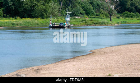 Schartau, Deutschland. Juni, 2019 18. Die Fähre Rogätz reist über die Elbe zum Ufer des Mansfelder Land. Im Vordergrund steht eine Sandbank. Der Pegel der Elbe an der Brücke über den Fluss Manometer in der Landeshauptstadt Magdeburg war 92 Zentimeter in den frühen Morgenstunden. Credit: Klaus-Dietmar Gabbert/dpa-Zentralbild/ZB/dpa/Alamy leben Nachrichten Stockfoto