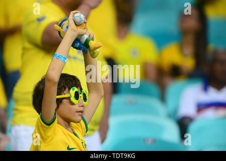 Salvador, Brasilien. 18. Juni 2019, Arena Fonte Nova, Salvador, Bahia, Brasilien; Copa America Football Finale Brasilien gegen Venezuela; Fans von Brasil Credit: Aktion Plus Sport Bilder/Alamy leben Nachrichten Stockfoto