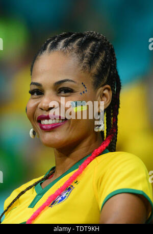 Salvador, Brasilien. 18. Juni 2019, Arena Fonte Nova, Salvador, Bahia, Brasilien; Copa America Football Finale Brasilien gegen Venezuela; Fans von Brasil Credit: Aktion Plus Sport Bilder/Alamy leben Nachrichten Stockfoto