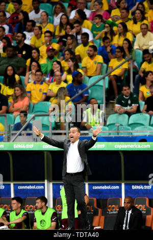 Salvador, Brasilien. Juni, 2019 18. Venezuelas Haupttrainer Dudamel reagiert während der Gruppe ein Match zwischen Brasilien und Venezuela an der Copa America 2019 in Salvador, Brasilien, 18. Juni 2019. Das Match endete mit 0-0. Credit: Xin Yuewei/Xinhua/Alamy leben Nachrichten Stockfoto