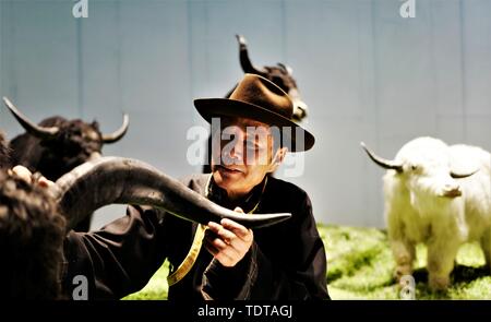 (190619) - LHASA, 19. Juni 2019 (Xinhua) - Wu Yuchu überprüft ein Yak Muster im Yak Museum in Lhasa, der Hauptstadt von Südwesten Chinas Autonomen Region Tibet, 14. Mai 2019. Vor über 40 Jahren, Wu Yuchu wurde in einem Blizzard im Südwesten Chinas Tibet autonomen Region gefangen. Es wurde 1977, zwei Jahre nach Wu begonnen hatte in Tibet arbeiten. Er und mehr als 50 andere Leute hatten in einem Schlamm zu verstecken - brick House. Temperaturen draußen fiel auf minus 30 Grad Celsius, und das Essen war. Hoffnung schien verblassen werden. Wenn die Rettungsmannschaft endlich fand sie mit Yaks Durchführung lebensrettender Stockfoto