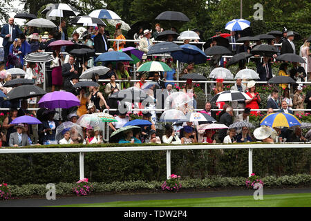 Massen von racegoers Sonnenschirme halten während der Tag zwei des Royal Ascot Hotel in Ascot Pferderennbahn. Stockfoto