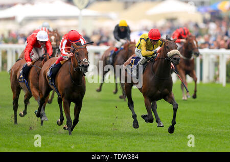 Schnell Bewegen von Jockey Daniel Tudhope auf seiner Weise zum Gewinnen der Herzog von Cambridge Einsätze bei Tag zwei des Royal Ascot Hotel in Ascot Pferderennbahn geritten. Stockfoto