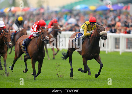 Schnell Bewegen von Jockey Daniel Tudhope auf seiner Weise zum Gewinnen der Herzog von Cambridge Einsätze bei Tag zwei des Royal Ascot Hotel in Ascot Pferderennbahn geritten. Stockfoto