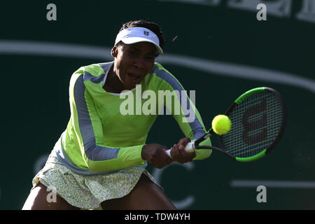 Venus Williams am Tag sechs der Natur Tal Klassiker an Priorat Club Edgbaston, Birmingham. Stockfoto