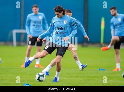 Porto Alegre, Brasilien. Juni, 2019 19. Uruguai Team während der Schulung bei CT Presidente Luiz Carvalho, Porto Alegre - RSFoto: Credit: Liamara LIAMARA POLLI Polli/bin Presse/ZUMA Draht/Alamy leben Nachrichten Stockfoto