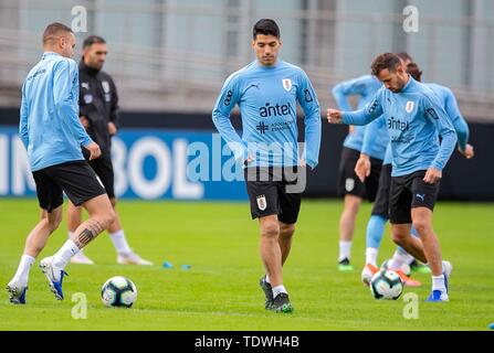 Porto Alegre, Brasilien. Juni, 2019 19. Uruguai Team während der Schulung bei CT Presidente Luiz Carvalho, Porto Alegre - RSFoto: Credit: Liamara LIAMARA POLLI Polli/bin Presse/ZUMA Draht/Alamy leben Nachrichten Stockfoto