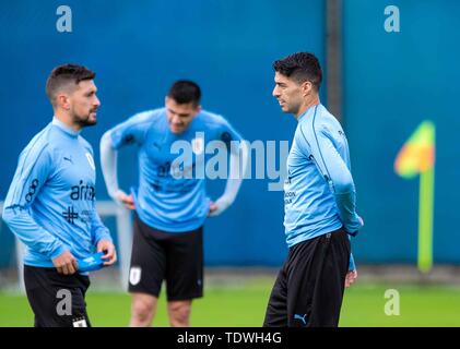 Porto Alegre, Brasilien. Juni, 2019 19. Uruguai Team während der Schulung bei CT Presidente Luiz Carvalho, Porto Alegre - RSFoto: Credit: Liamara LIAMARA POLLI Polli/bin Presse/ZUMA Draht/Alamy leben Nachrichten Stockfoto