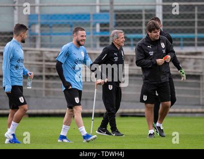 Porto Alegre, Brasilien. Juni, 2019 19. Uruguai Team während der Schulung bei CT Presidente Luiz Carvalho, Porto Alegre - RSFoto: Credit: Liamara LIAMARA POLLI Polli/bin Presse/ZUMA Draht/Alamy leben Nachrichten Stockfoto