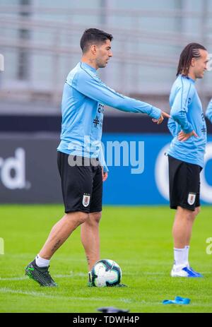 Porto Alegre, Brasilien. Juni, 2019 19. Uruguai Team während der Schulung bei CT Presidente Luiz Carvalho, Porto Alegre - RSFoto: Credit: Liamara LIAMARA POLLI Polli/bin Presse/ZUMA Draht/Alamy leben Nachrichten Stockfoto