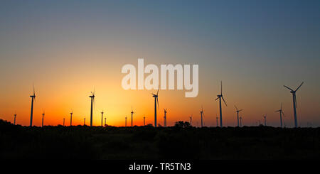 Windpark bei Sonnenuntergang, Bulgarien, Kap Kaliakra Stockfoto