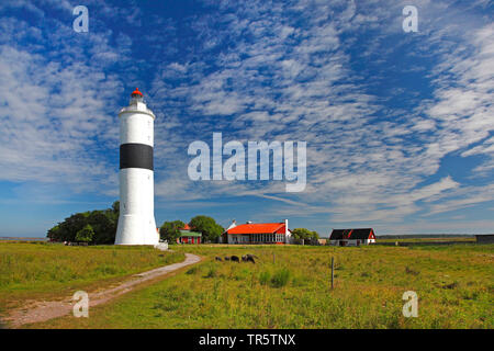 Leuchtturm Lange Jan an der südlichen Spitze von Oeland, Schweden, Oeland, Ottenby Stockfoto