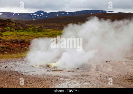 Hveravellir geothermale Region mit dampfenden Solfatara, Island, Hveravellir Stockfoto