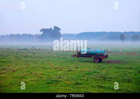 Weide im Morgennebel, Naturschutzgebiet Bislicher Insel, Deutschland, Nordrhein-Westfalen, Niederrhein, Xanten Stockfoto