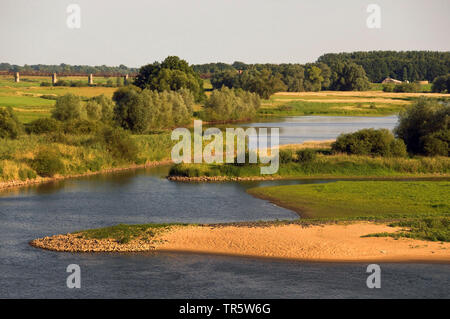 Elbtal Wiesen in der Nähe von Doemitz, Deutschland, Niedersachsen, Biosphaerenreservat Niedersaechsische Elbtalaue Stockfoto