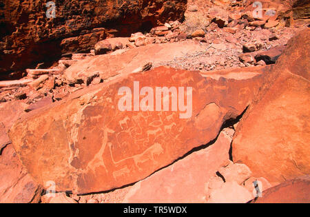 Alte Felsgravuren von Twyfelfontein, Namibia, Damaraland, Twyfelfontein Stockfoto