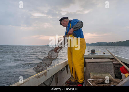 Fischer Ziehen einer fischfalle in das Boot, Deutschland, Schleswig-Holstein Stockfoto