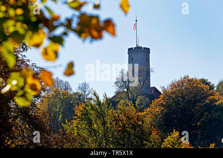 Turm der Burg Sparrenburg in Bielefeld, Deutschland, Nordrhein-Westfalen, Ostwestfalen, Bielefeld Stockfoto