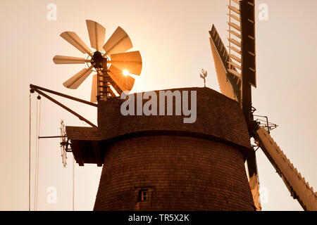 Windmühle Exter mit fachwerkhaus Muehlenblick in der Abendsonne, Deutschland, Nordrhein-Westfalen, Ostwestfalen, Vlotho Stockfoto