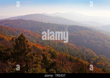 Blick auf die Berge Wesergebirge im Herbst mit leichten Nebel, Luftaufnahme, Deutschland, Nordrhein-Westfalen, Ostwestfalen, Porta Westfalica Stockfoto