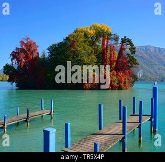 Insel der Schwäne auf dem See von Annecy im Herbst, Frankreich, Savoie, Haute Savoie Stockfoto