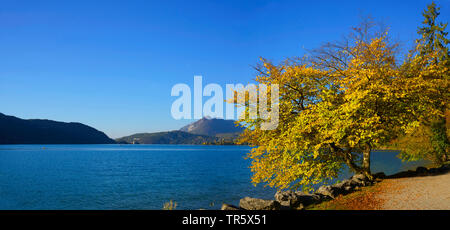 Herbst auf dem See von Annecy, Frankreich, Savoie, Haute Savoie Stockfoto