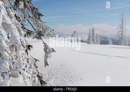 Verschneite Landschaft an die gröberen Rachel, Deutschland, Bayern, Nationalpark Bayerischer Wald Stockfoto