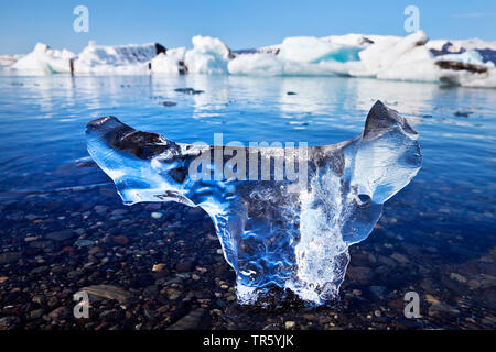 Stück ica in die gletscherlagune Joekulsarlon von, Island, Osten Island, Hornarfjoerdur, Nationalpark Vatnajoekull Stockfoto